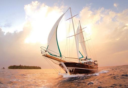 力馬與您揚(yáng)帆制藥機(jī)械的“星辰大海”